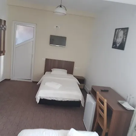 Skyroomshorezu Guest house Horezu